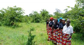 Waweh Women: 058