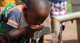Galerie de photos: Waweh Water: 149
