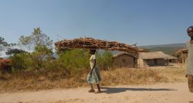 Galerie de photos: Martin Linster: 800x600_martin-linster-100