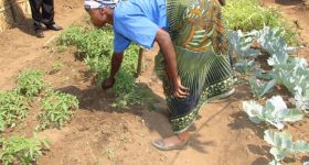 Waweh Women: IMG_0045