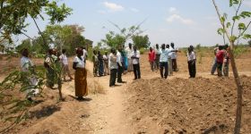Fotogalerie > Waweh Agriculture: mw2012.3-082