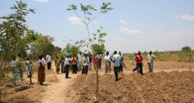 Fotogalerie > Waweh Agriculture: mw2012.3-085